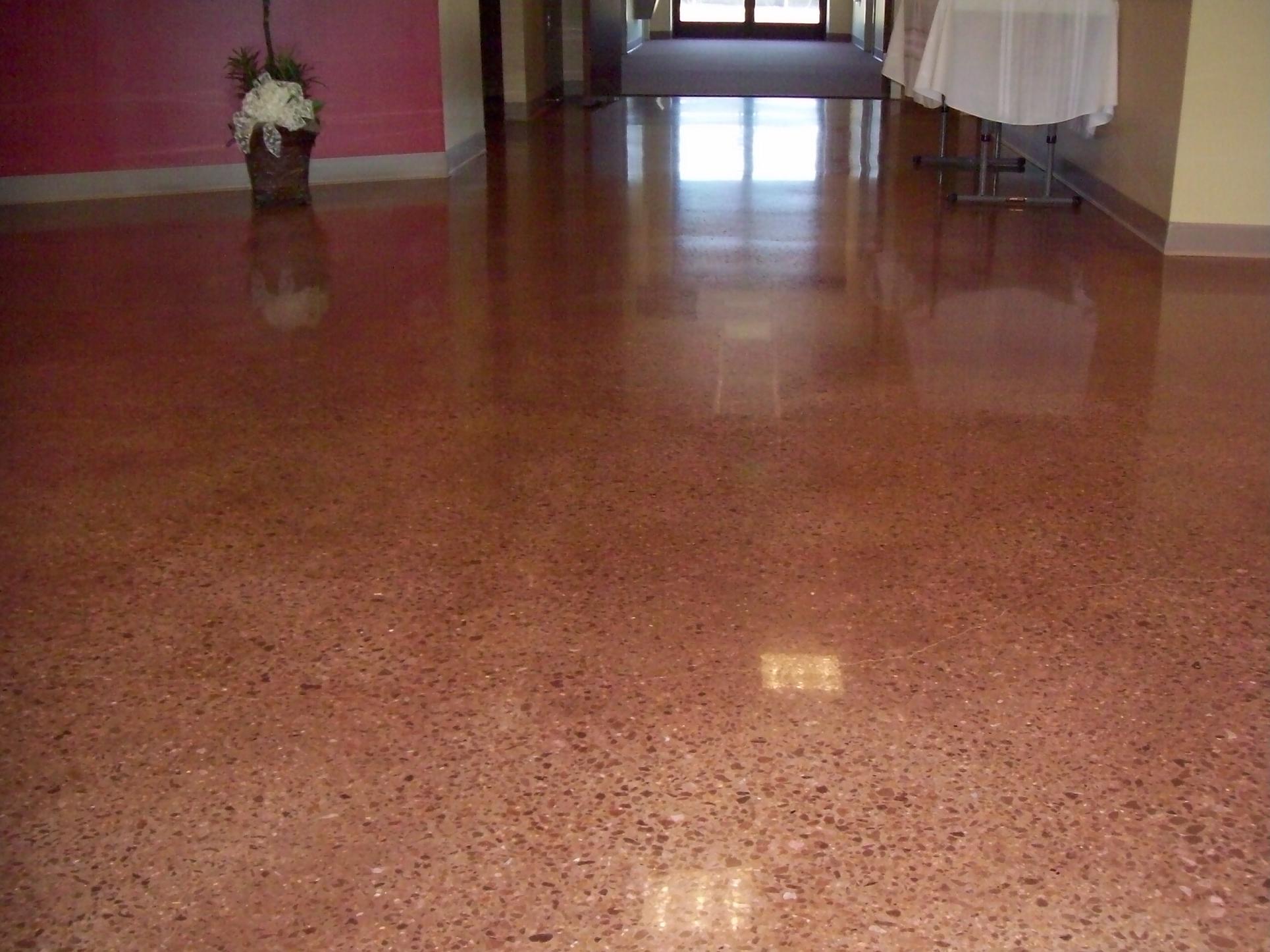 Polished concrete with saddle brown dye